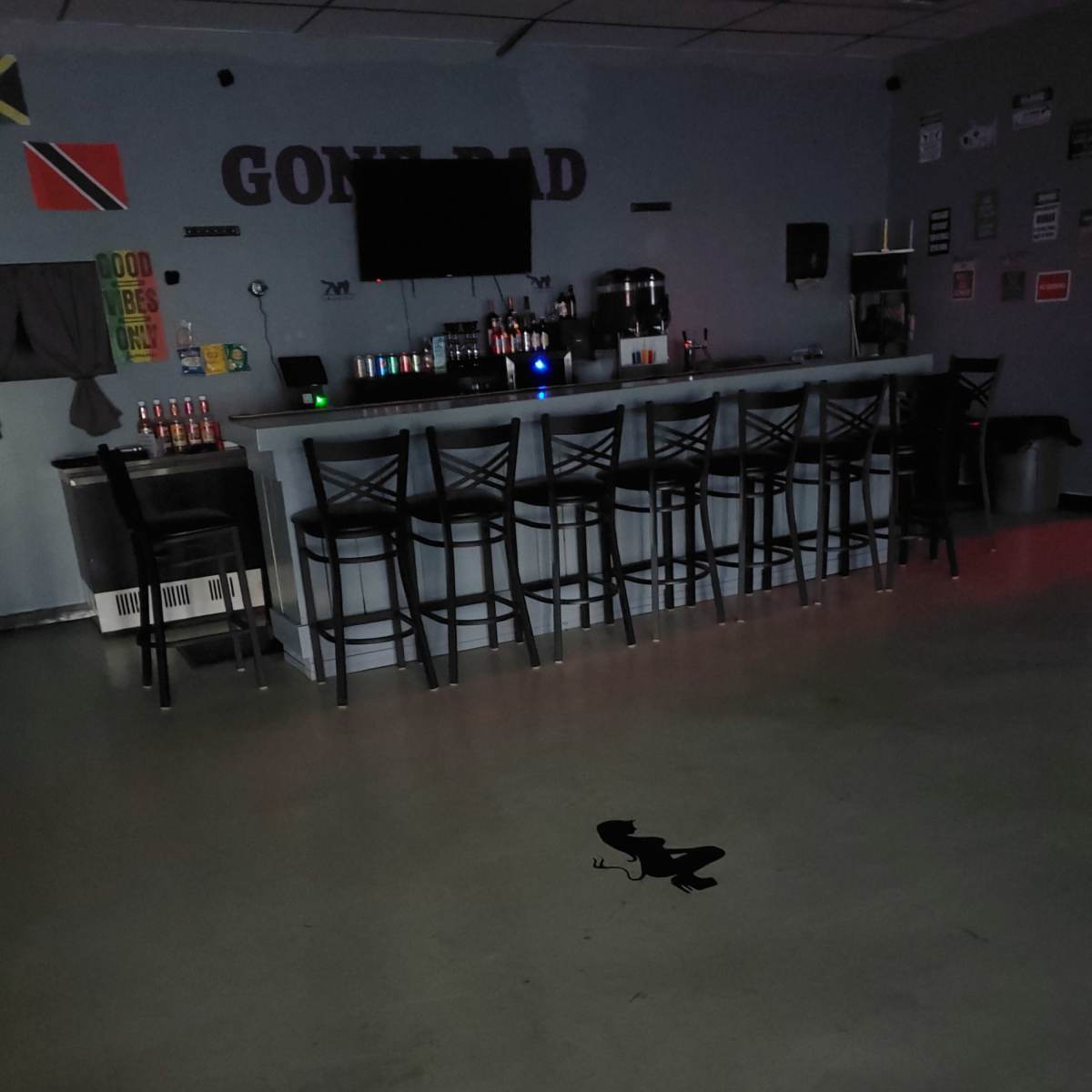 A dimly lit bar area features a long counter with several stools, a television mounted on the wall, and a small insect on the floor.