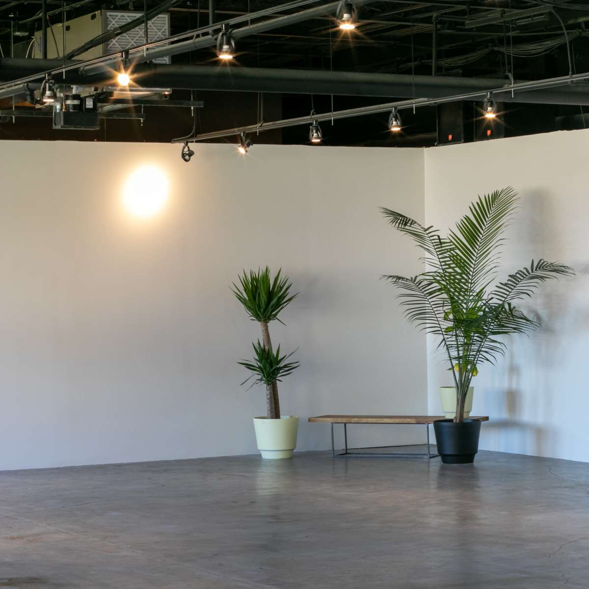 A minimalist interior with potted plants, a wooden bench, and a chair against a light-colored wall.