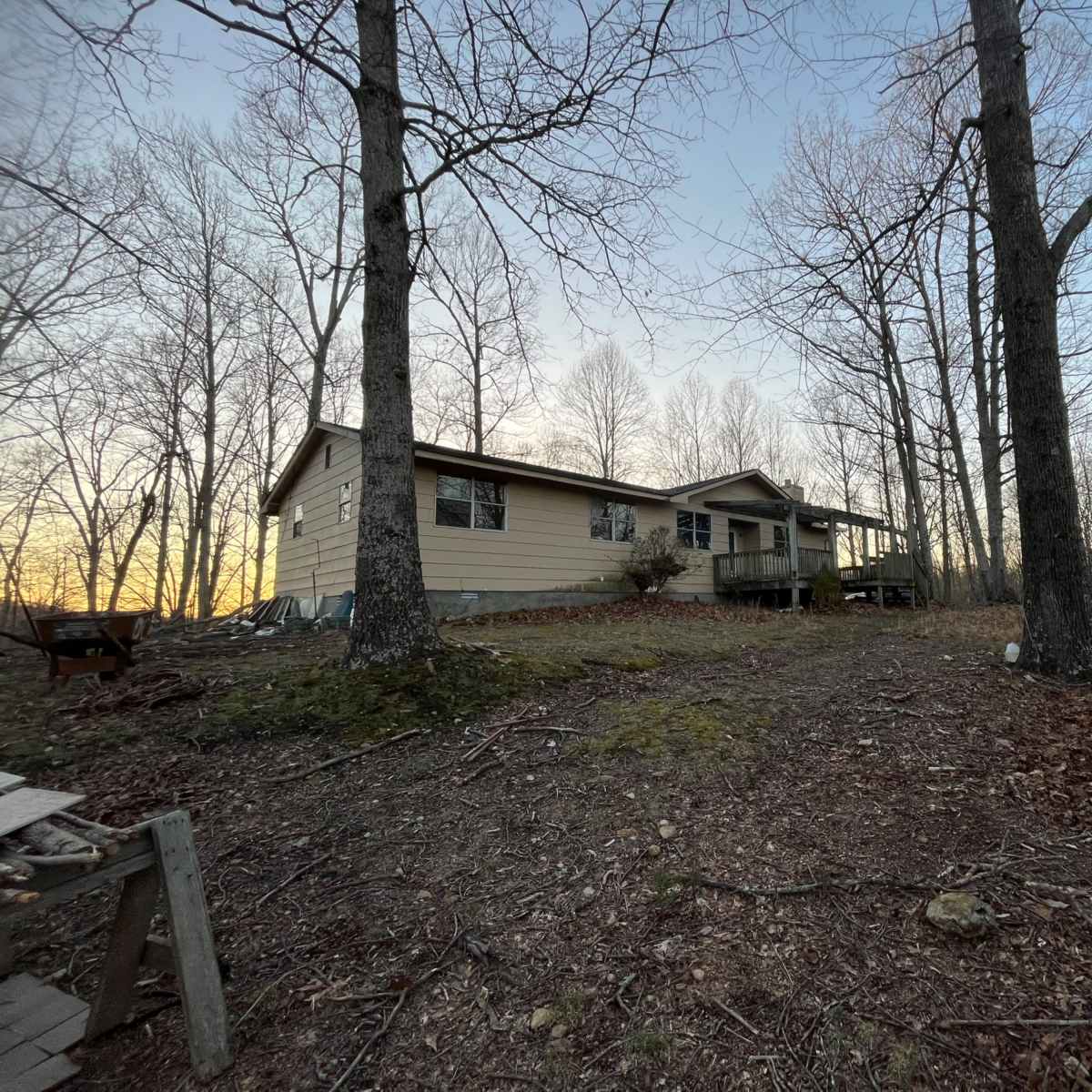 A single-story house sits on a sloped, leaf-covered terrain surrounded by bare trees.