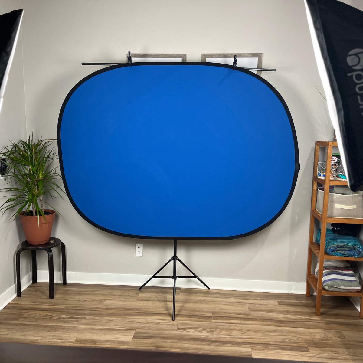 A blue backdrop set up in a room with two softbox lights, a potted plant, and a shelf filled with folded towels.
