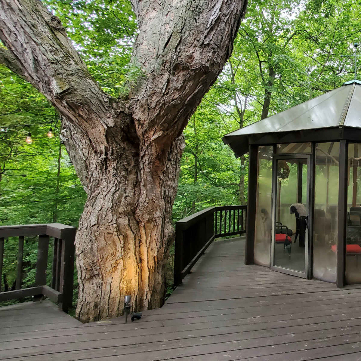 A hexagonal gazebo with a glass enclosure sits on a wooden deck surrounded by lush green trees.