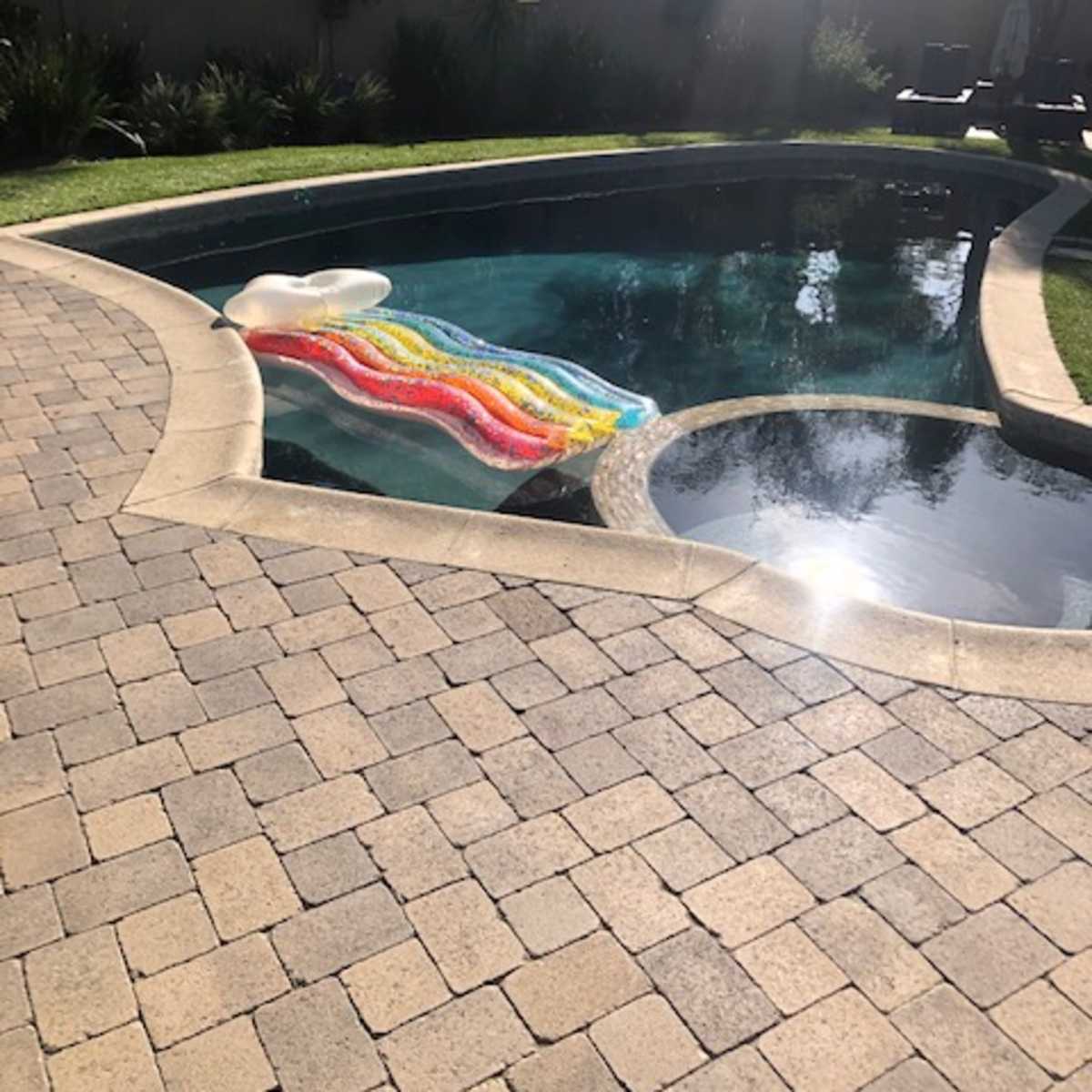 A colorful inflatable float rests on the surface of a swimming pool surrounded by landscaped greenery.