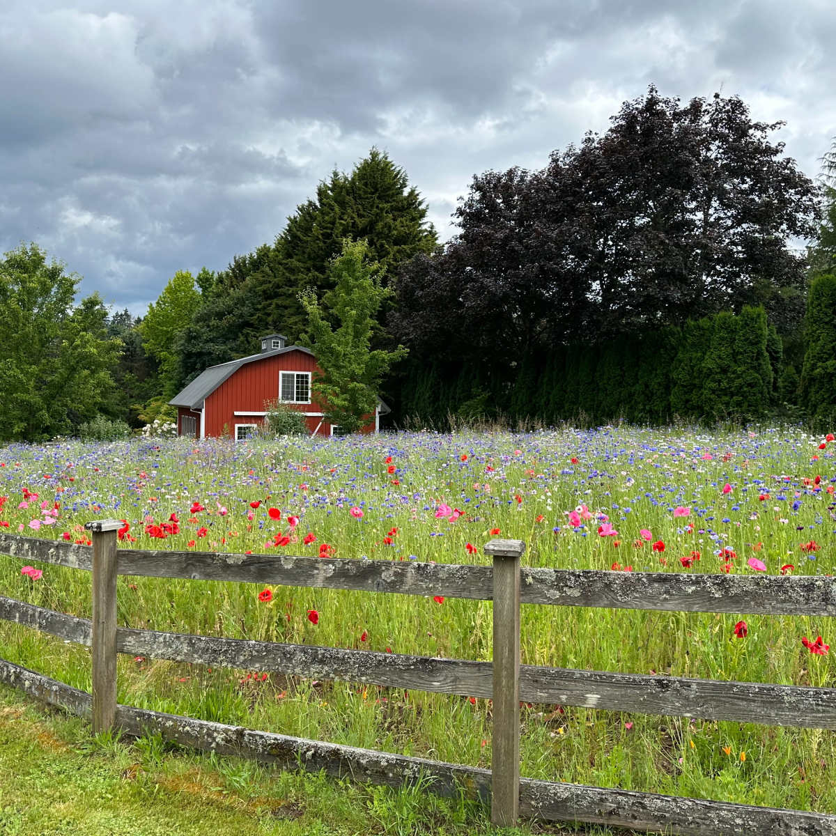 Picturesque Red Barn and Gardens For Events and Parties in West Linn Image in , West Linn, OR
