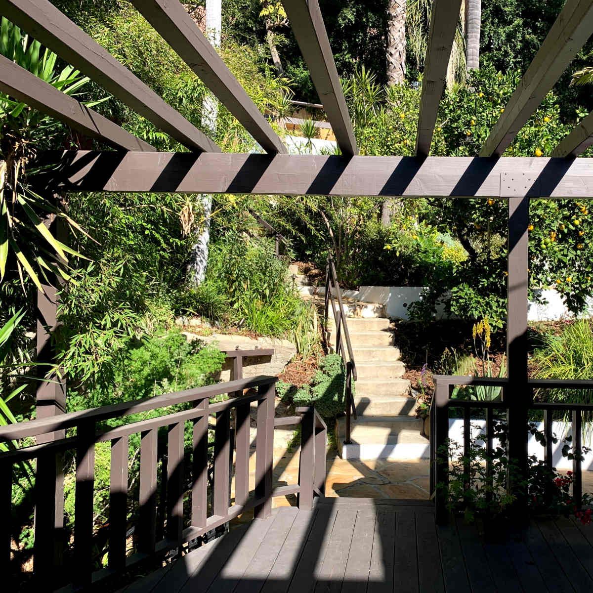 A wooden deck frames a view of a landscaped garden and staircase leading up through lush greenery.
