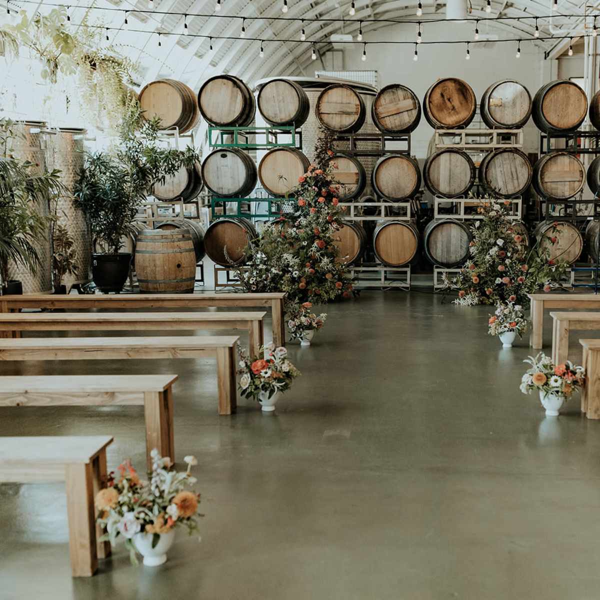 Plant & Light Filled Urban Winery in Portland Image in Southeast Portland, Portland, OR