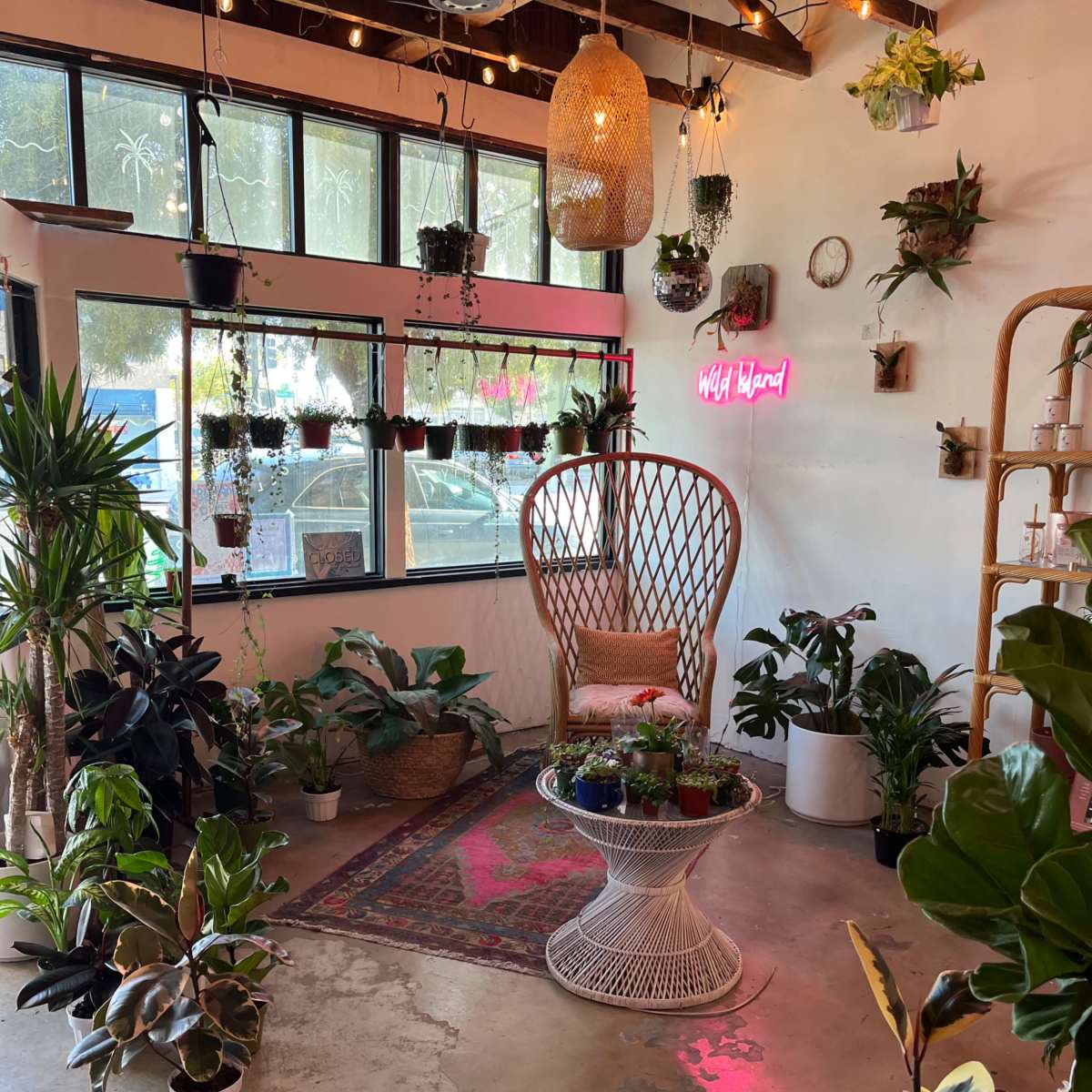 A cozy indoor space with various plants arranged around a central wicker chair and a colorful rug, illuminated by string lights and a neon sign.
