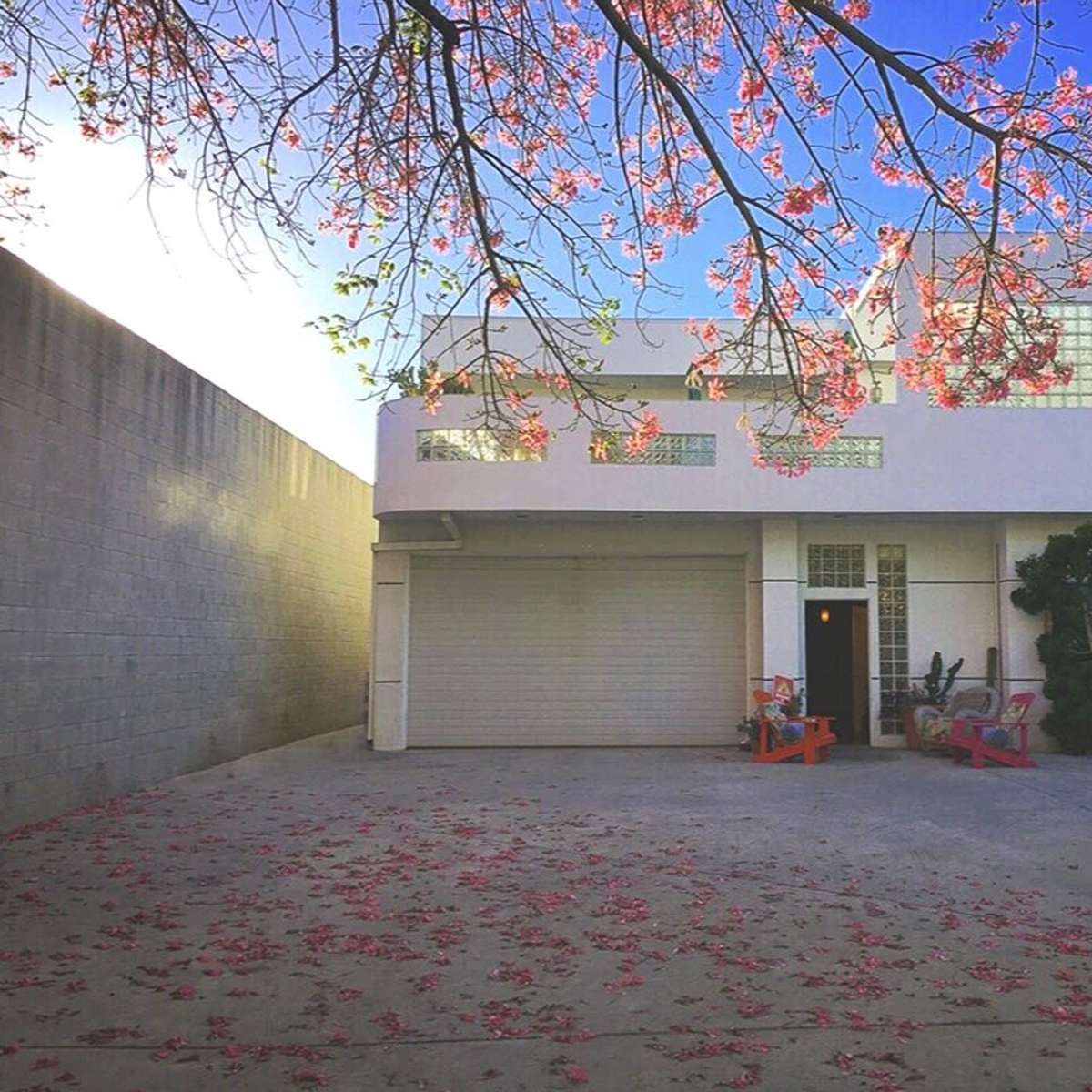 A modern two-story house is surrounded by pink flowering trees and has a garage entrance with a concrete driveway scattered with fallen petals.