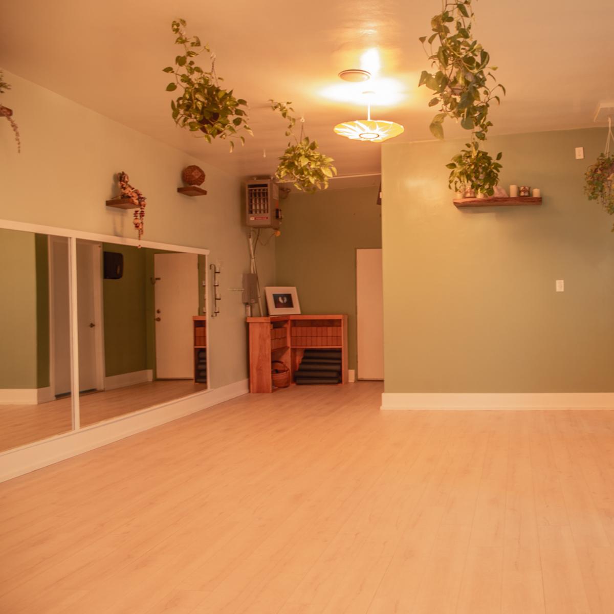 A light-filled room with a wooden floor, a large mirror along one wall, a plant hanging from the ceiling, and a shelf with decor mounted on the opposite wall.