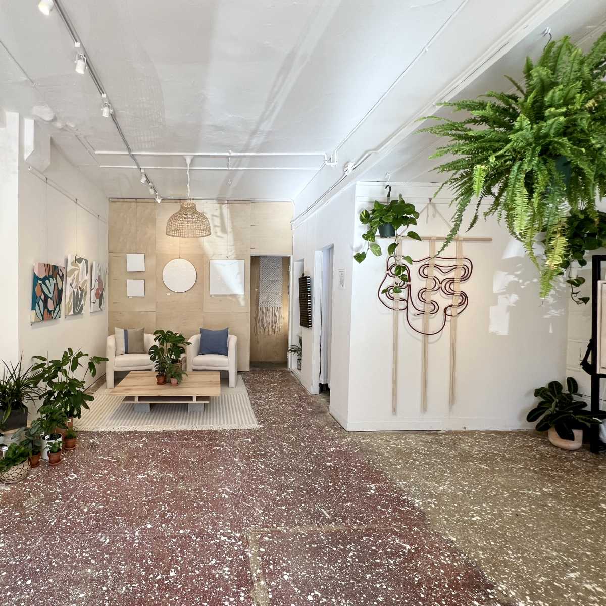 A spacious art gallery or studio with a mix of plants, wall art, and modern furniture arranged in a well-lit setting.