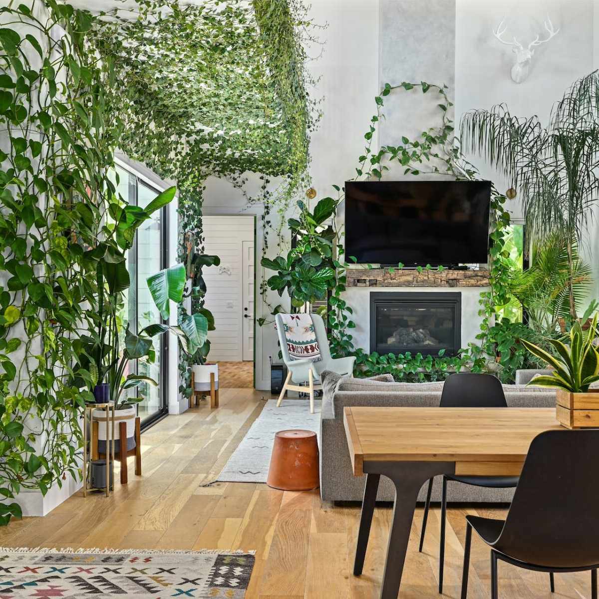 A modern living room filled with various indoor plants, featuring a gray sofa, a wooden dining table, and a large television above a fireplace.