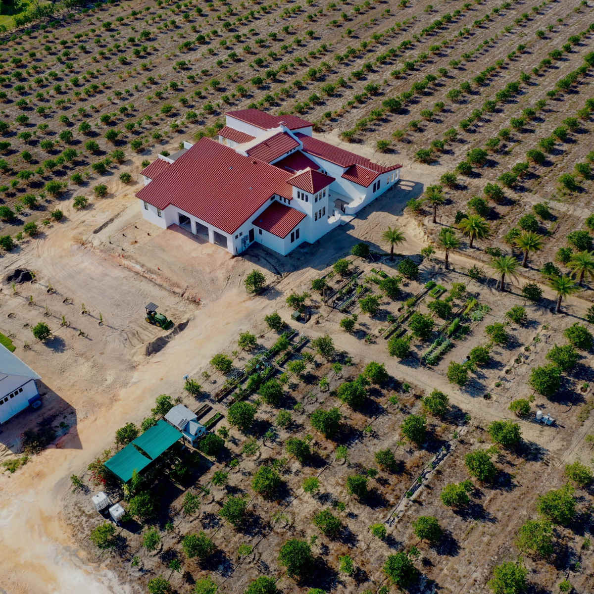 An aerial view shows a large house surrounded by rows of trees and a smaller building near a dirt path in a rural setting.