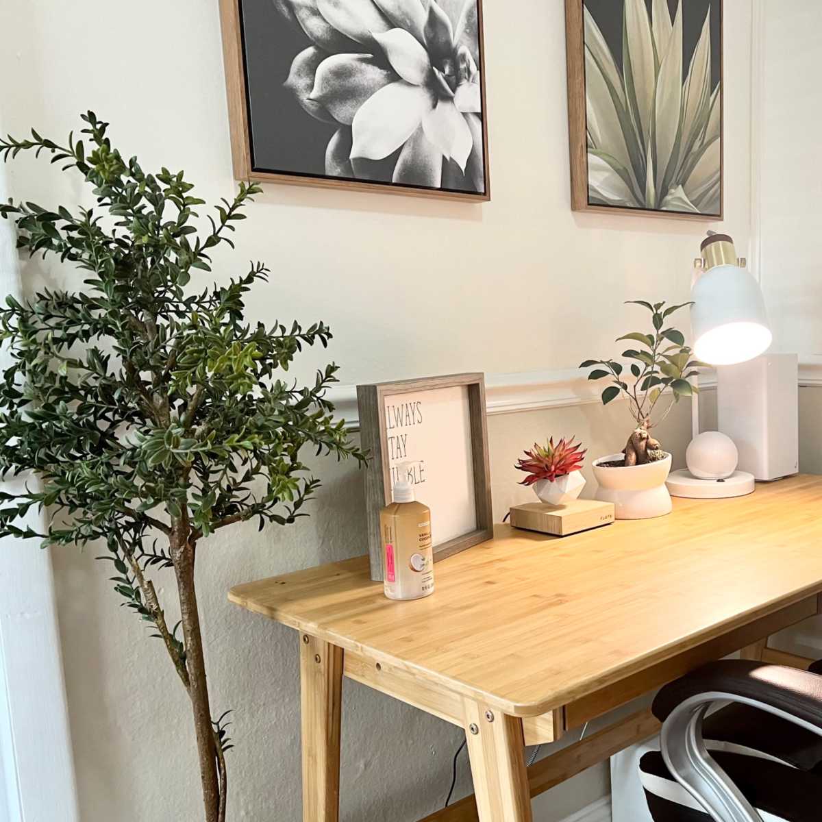 A minimalist wooden desk is adorned with potted plants, a lamp, and framed botanical artwork on the wall.