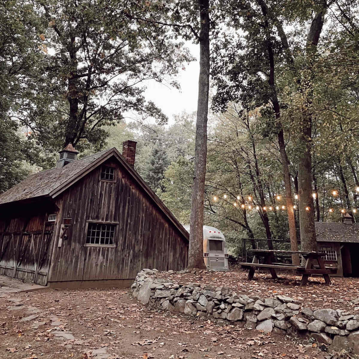 A rustic wooden cabin sits among trees, with a picnic table and a stone wall nearby, illuminated by string lights.