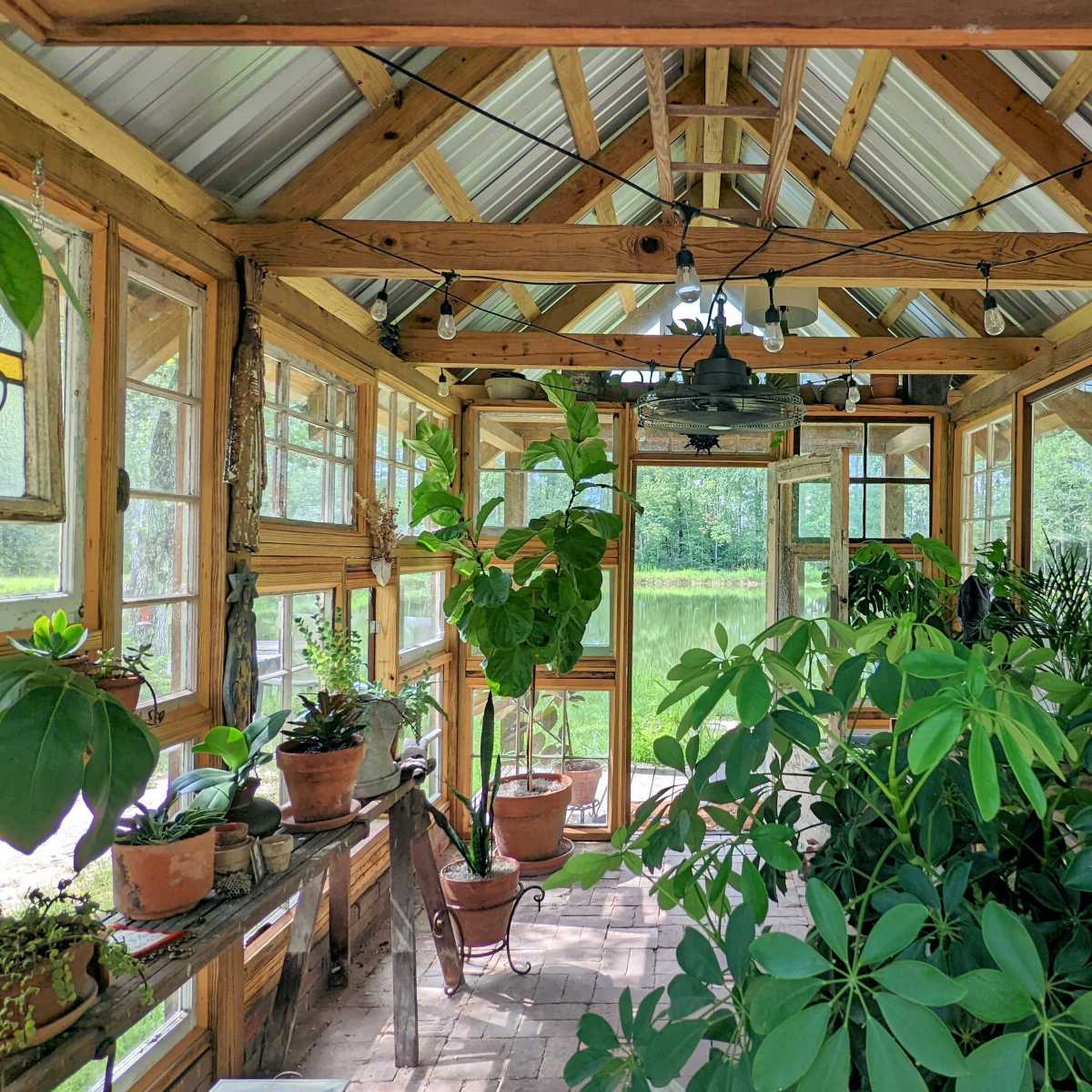 A glass-enclosed greenhouse with various potted plants and a view of a pond outside.
