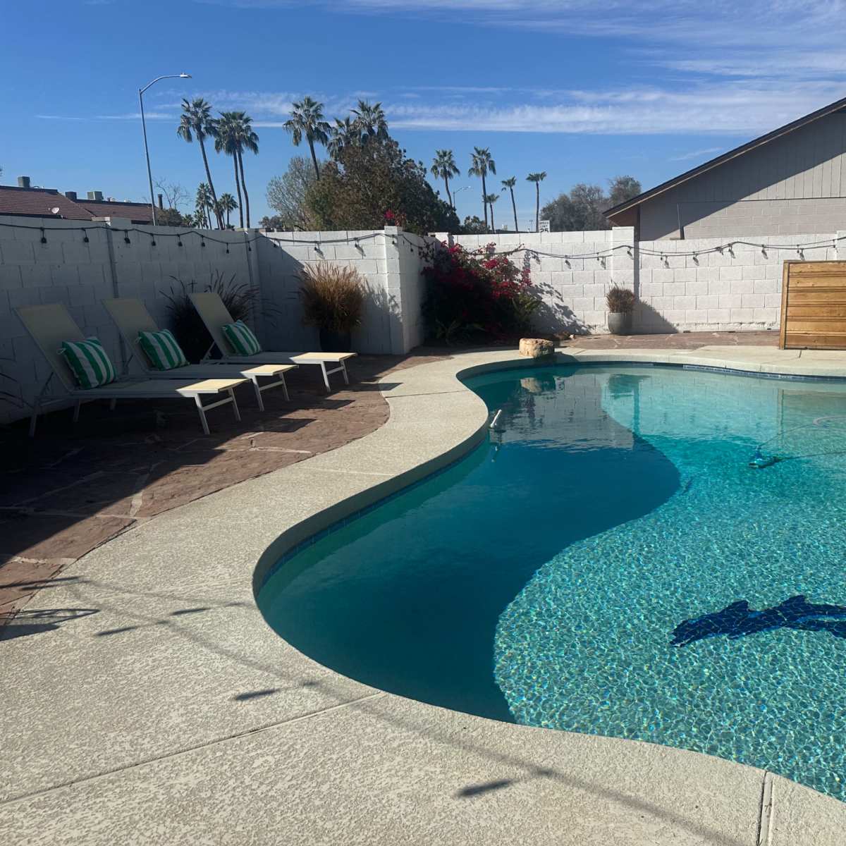 Big Garden in the Desert in Mesa Image in Dobson Ranch, Mesa, AZ