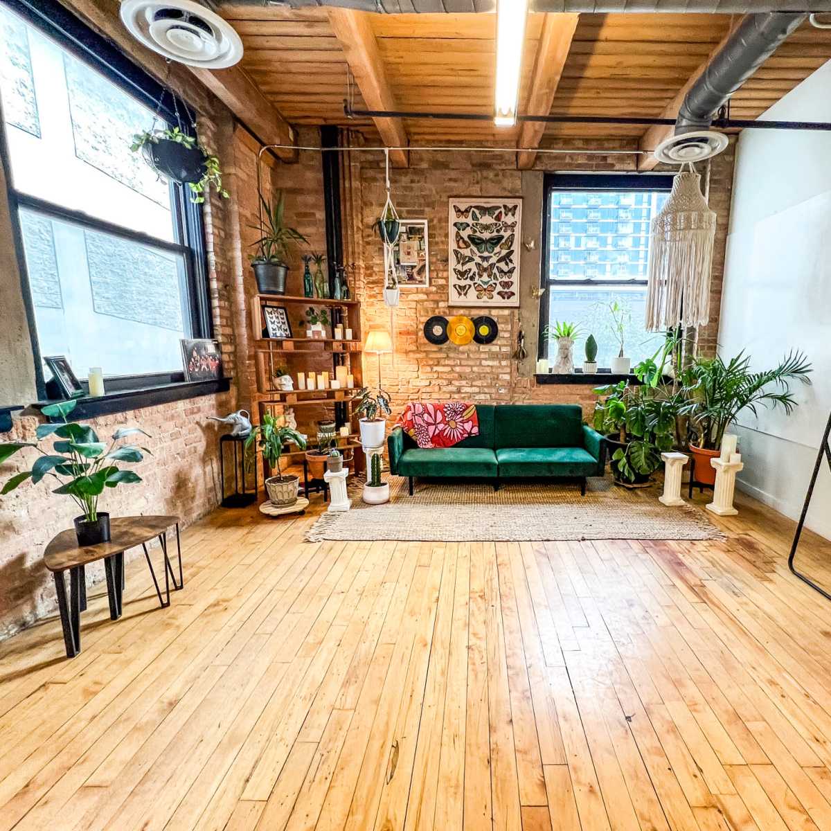Sunbathed Urban Jungle Green Room for Interviews, Podcasting, Content Creation and Photo Studio in River North in Chicago Image in Near North Side, Chicago, IL