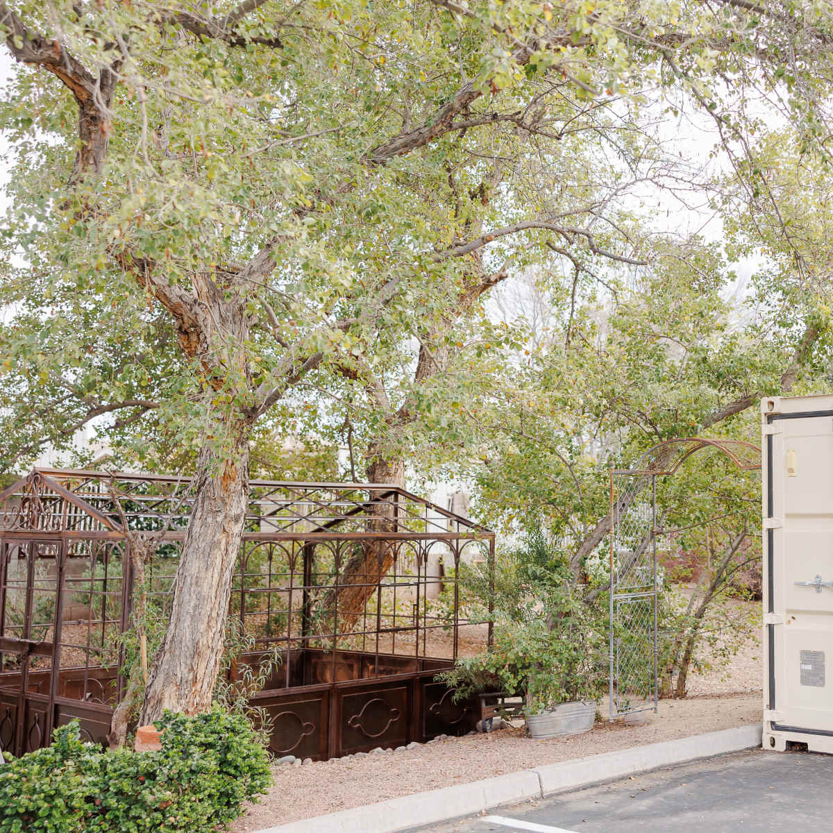 A large shipping container is displayed next to a metal greenhouse surrounded by trees in a parking area.