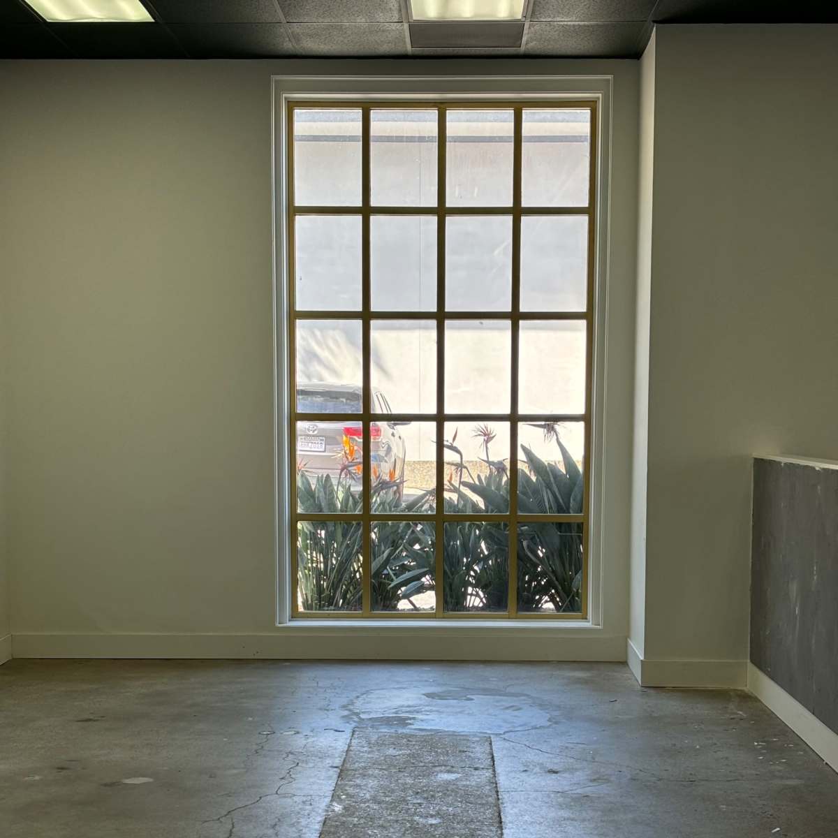 An empty room with a large window revealing a view of plants outside.