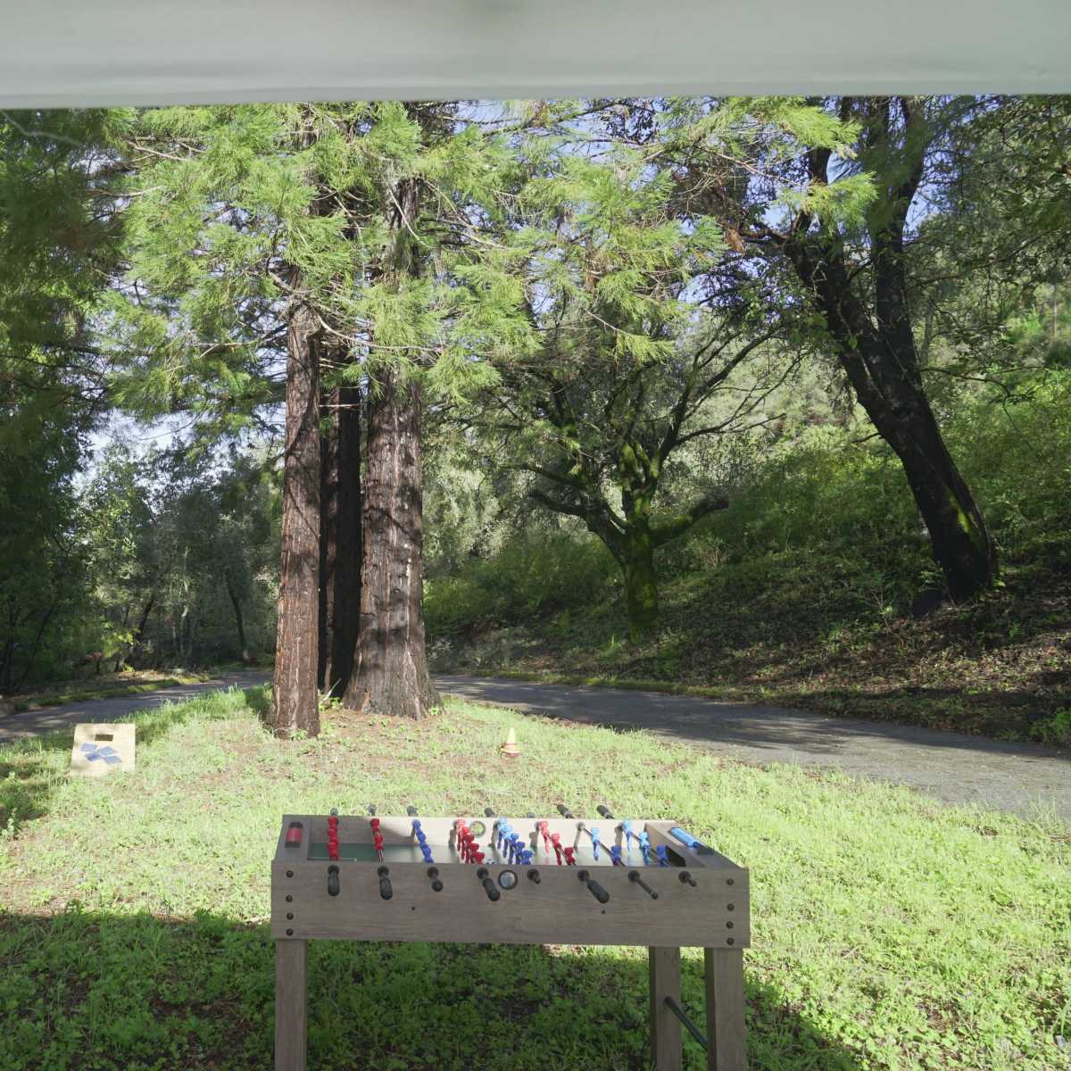 A wooden table with colorful tools is situated in a forested area next to a dirt road lined with tall trees.