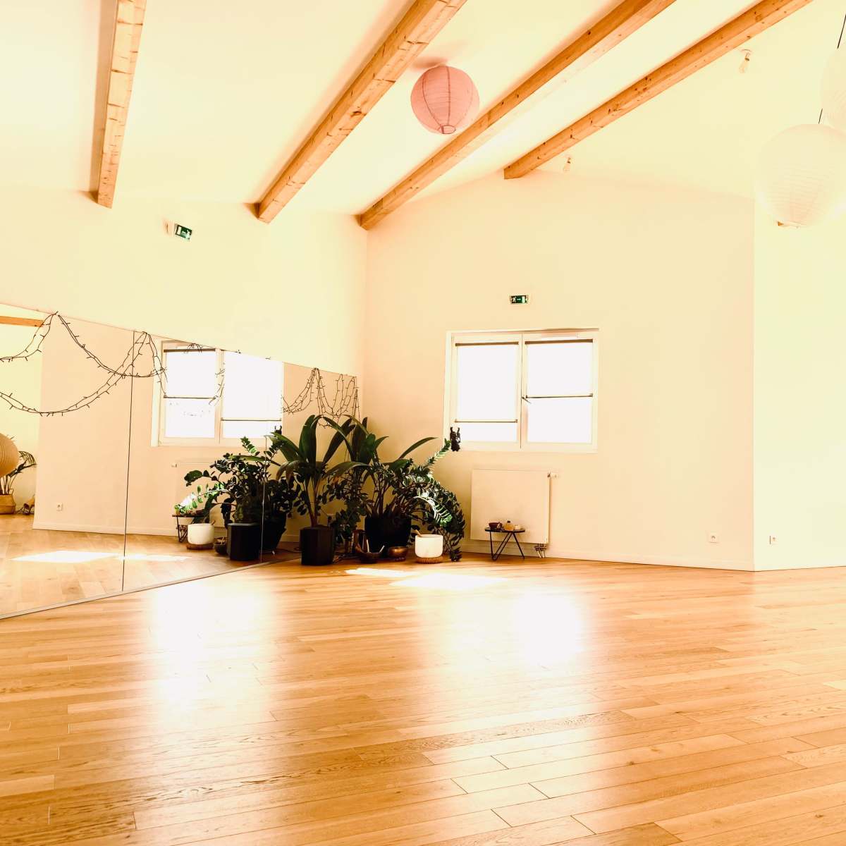 A spacious, well-lit wooden room with large mirrors, plants arranged on the floor, and hanging paper lanterns.