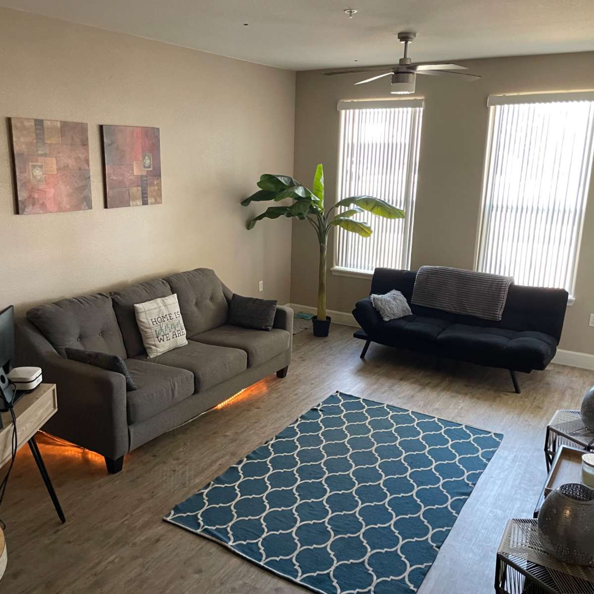 The room features a gray sofa and a black futon, with a large area rug, two potted plants, and two windows with vertical blinds.
