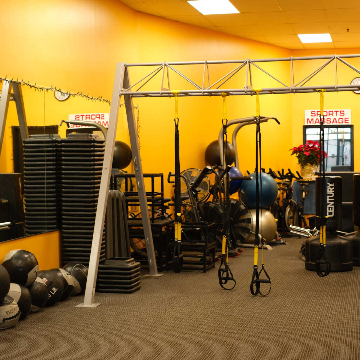 A fitness area features various exercise equipment, including resistance bands hanging from a frame, medicine balls stacked against a wall, and fitness machines.