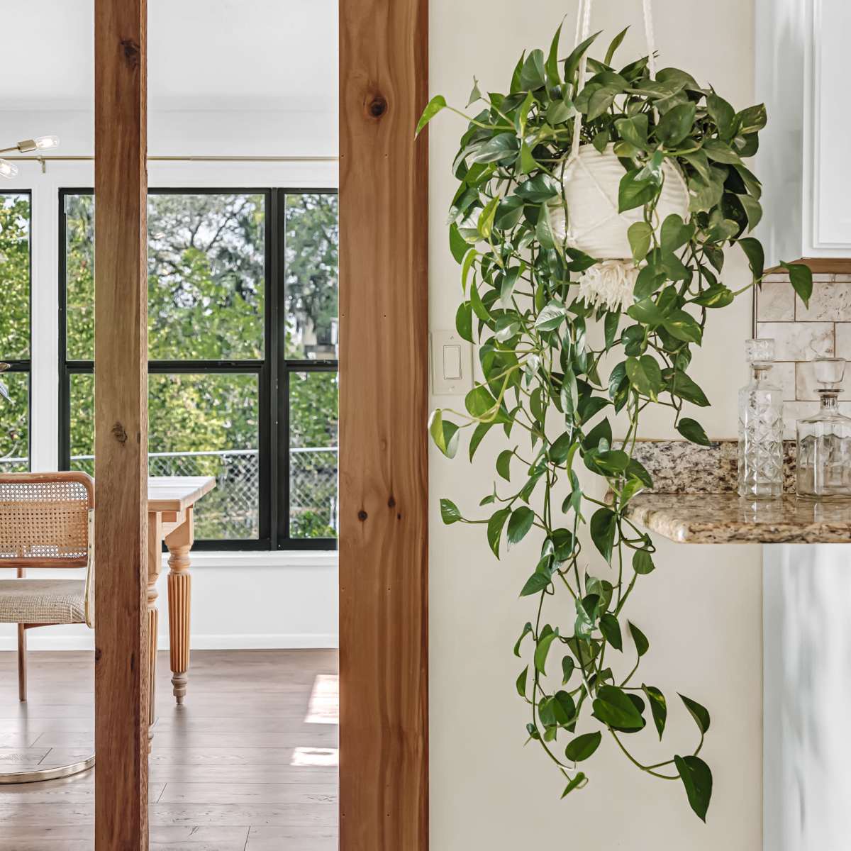 A bright room with a dining area featuring a wooden table and chairs next to a kitchen with a granite countertop and hanging potted plant.