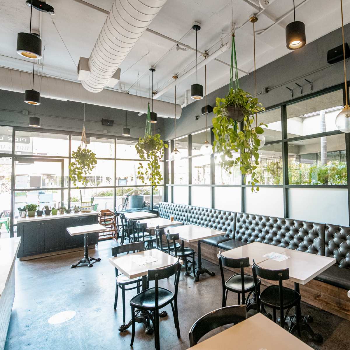 A modern restaurant interior with a row of black padded booths, white tables, and plants hanging from the ceiling near large windows.