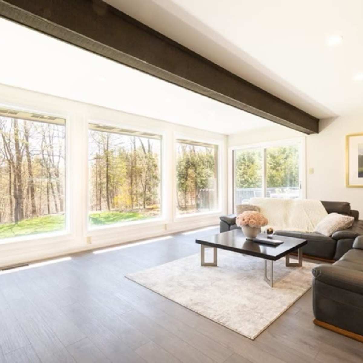 A bright living room with large windows overlooking a wooded area, featuring a dark couch, a light rug, and a coffee table in the center.