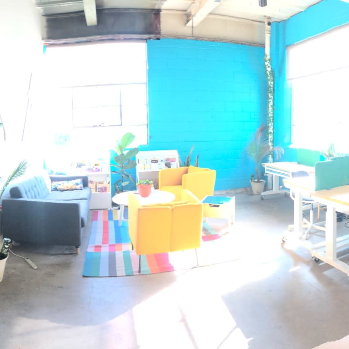 A bright, open workspace with various seating areas, desks, and plants, featuring a blue accent wall and large windows.