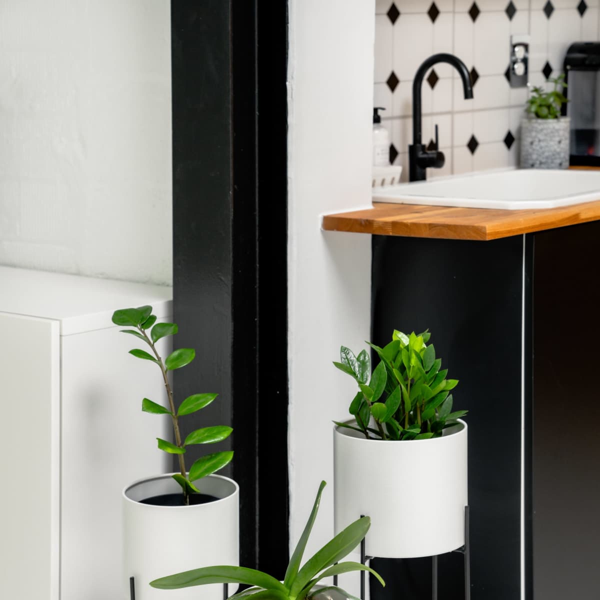 Three potted plants in white cylindrical pots with black metal stands are positioned near a kitchen counter.