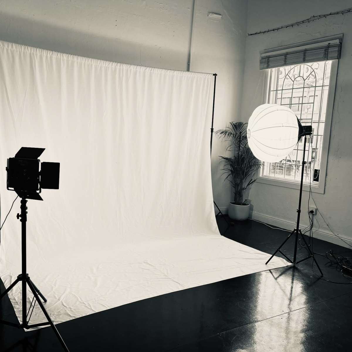 Versatile Creative Space for Hire – Ideal for Studios, Workshops, and More! in Annandale Image in Annandale, Annandale, NSW