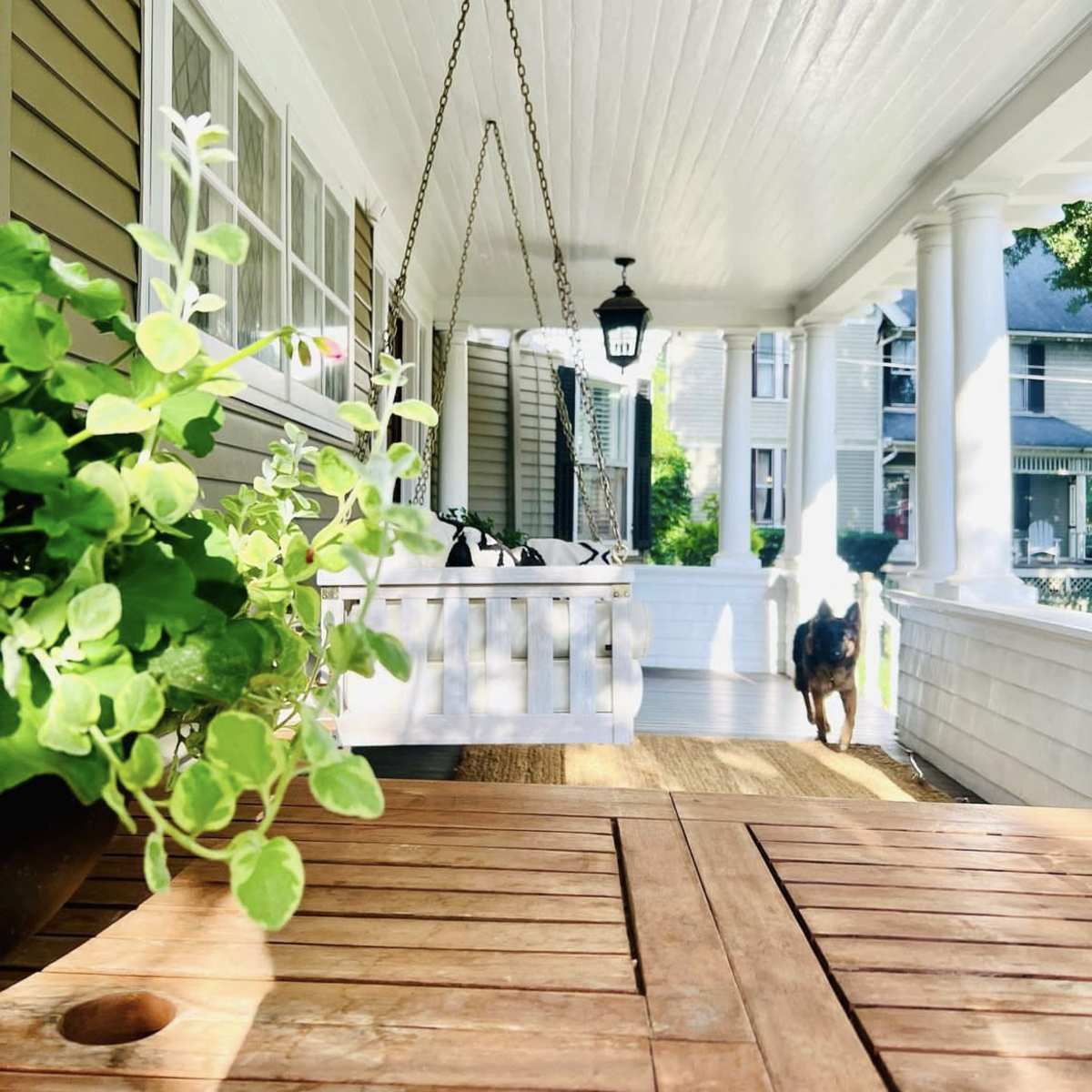 A porch features a hanging swing, potted plants, and a dog walking along the wooden floor under a white ceiling.