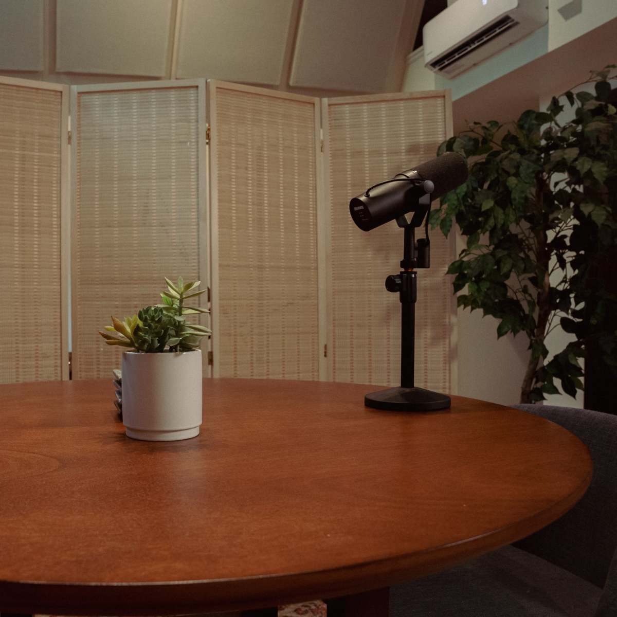 A round wooden table with two microphones and a small potted plant is set in a room with a folding screen and greenery.