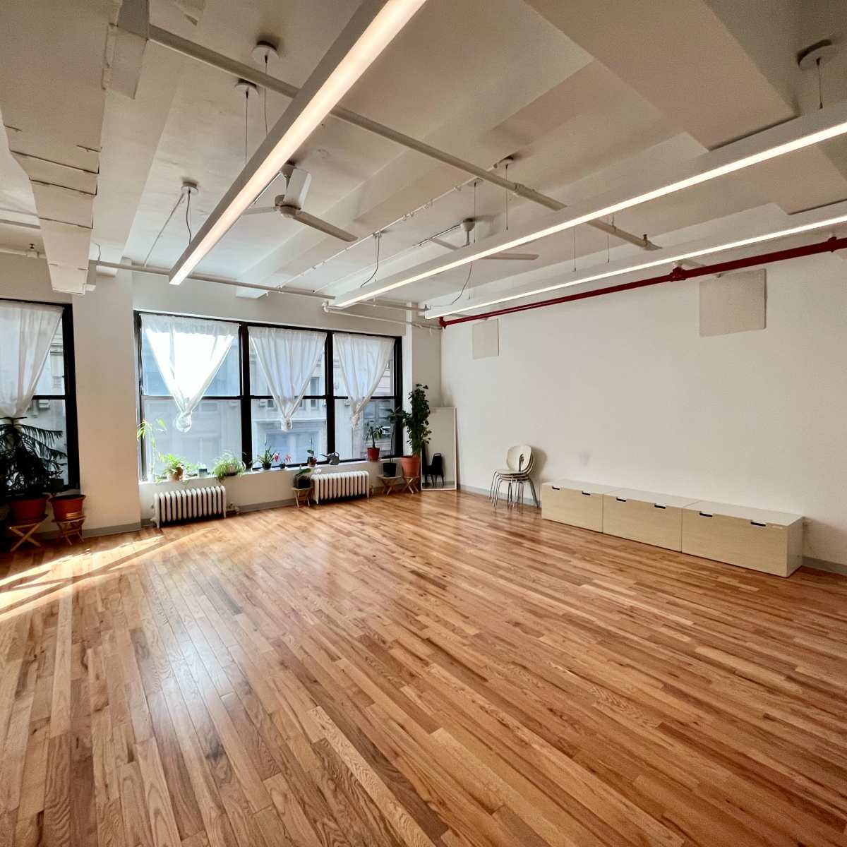 A spacious, well-lit room with wooden flooring, large windows adorned with white curtains, and plants positioned near the windows.