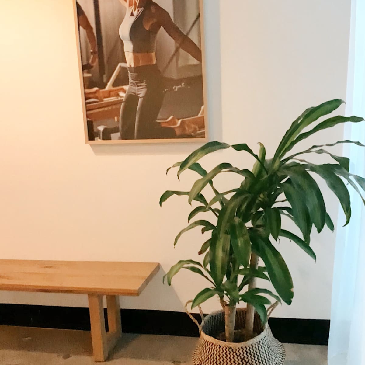 A wooden bench sits beside a potted plant and a framed photograph of a woman exercising on the wall.