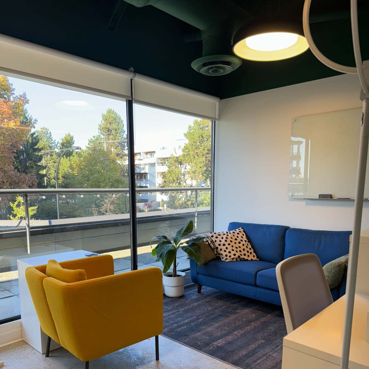 A modern office space featuring a blue sofa, two yellow chairs, a potted plant, and a window offering a view of trees and buildings outside.