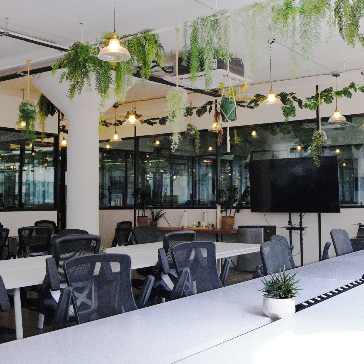 A modern office space with long white tables, black chairs, and greenery hanging from the ceiling.