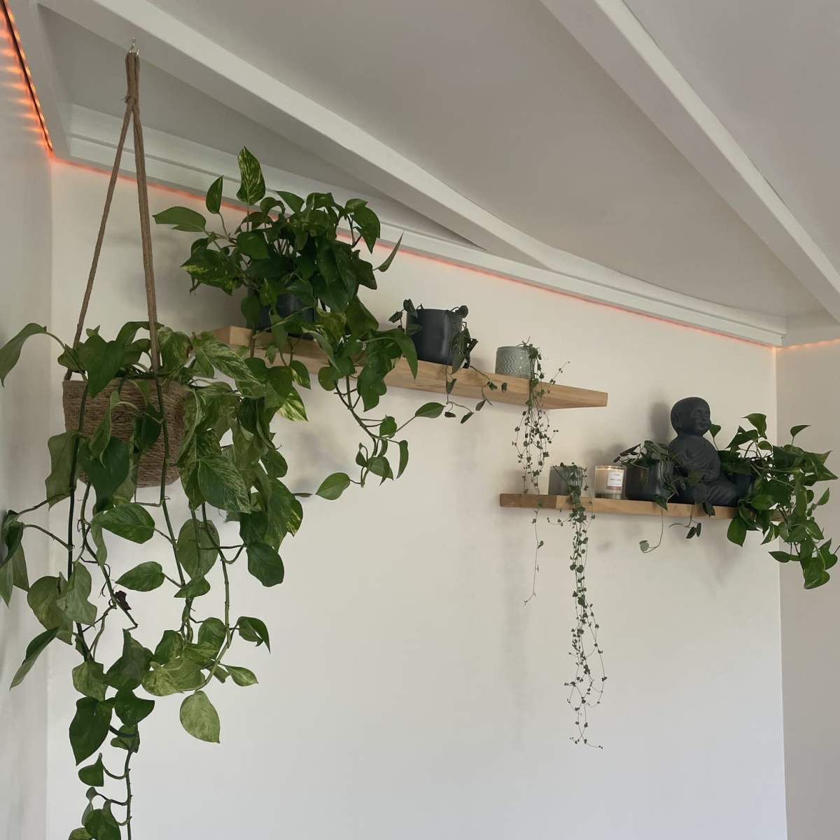 A wall with two wooden shelves decorated with various plants and a small sculpture.