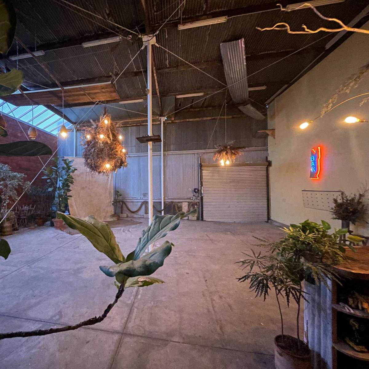 An industrial space with exposed metal beams, hanging light fixtures, and various plants arranged around a concrete floor.