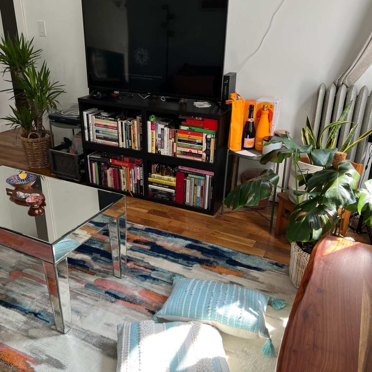 A modern living room with a glass coffee table, a large TV, a bookshelf filled with books, potted plants, and a colorful area rug.