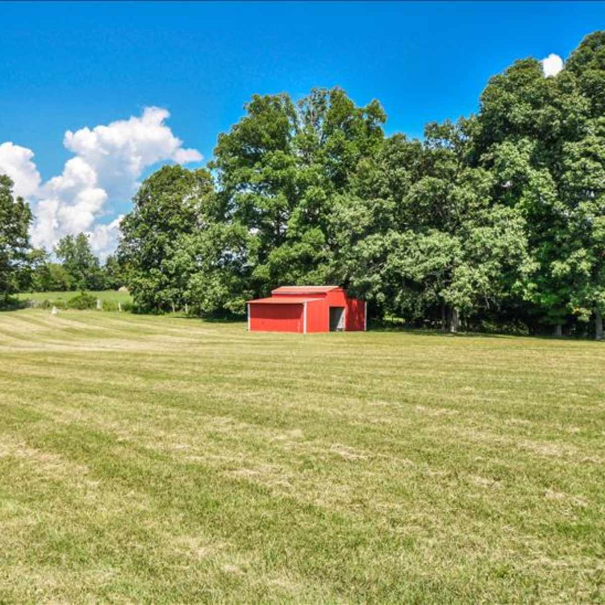 A red barn stands in a grassy field surrounded by trees under a bright blue sky.
