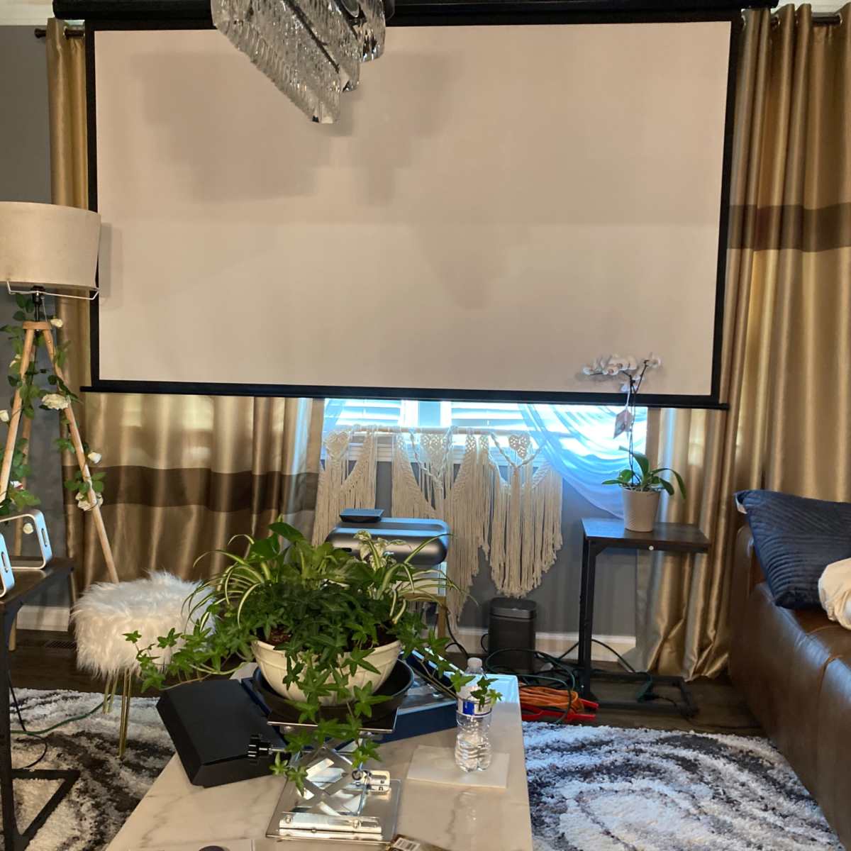 A living room setting with a projection screen in front of a window, a potted plant on a coffee table, and a cozy sofa in the background.