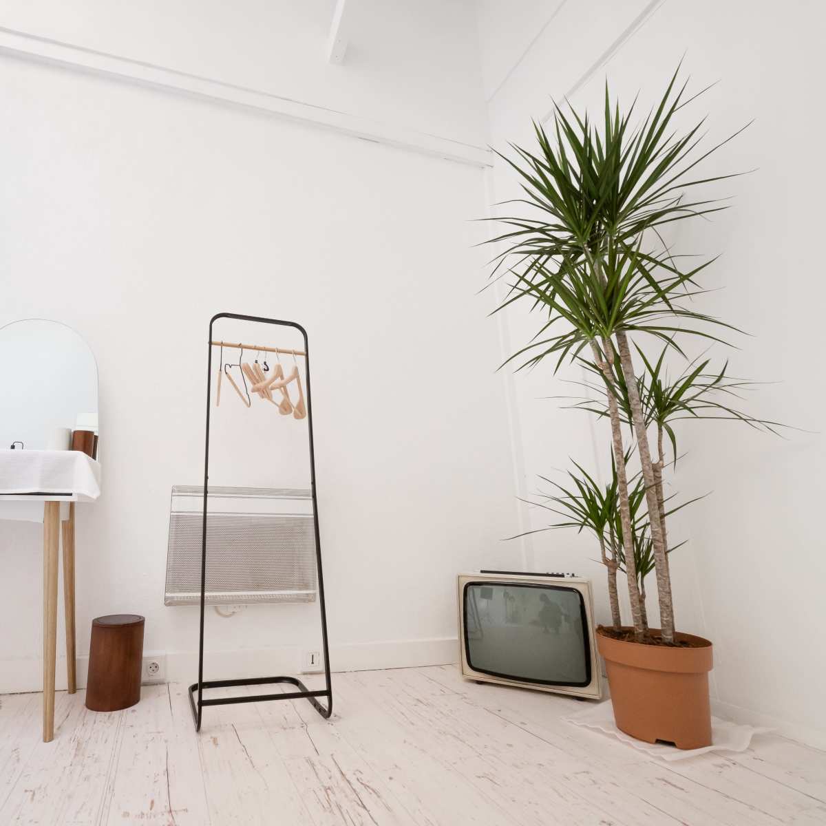 A minimalist interior space with a wall-mounted mirror, a clothing rack, a potted plant, and an old television set.