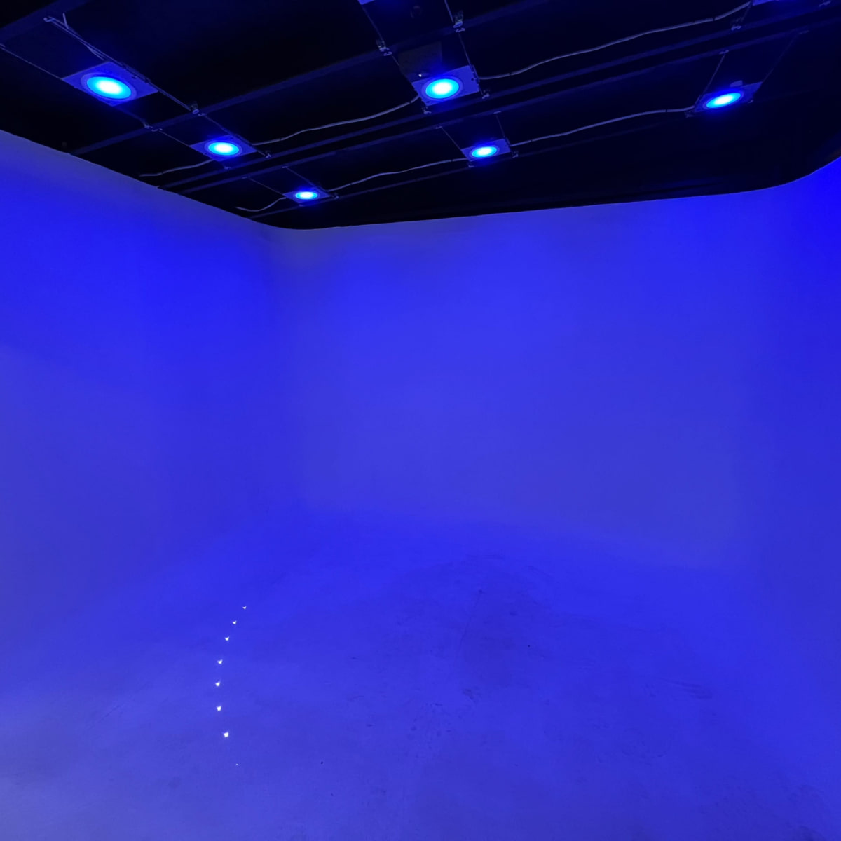 A minimalist room with blue lighting and a smooth white backdrop.