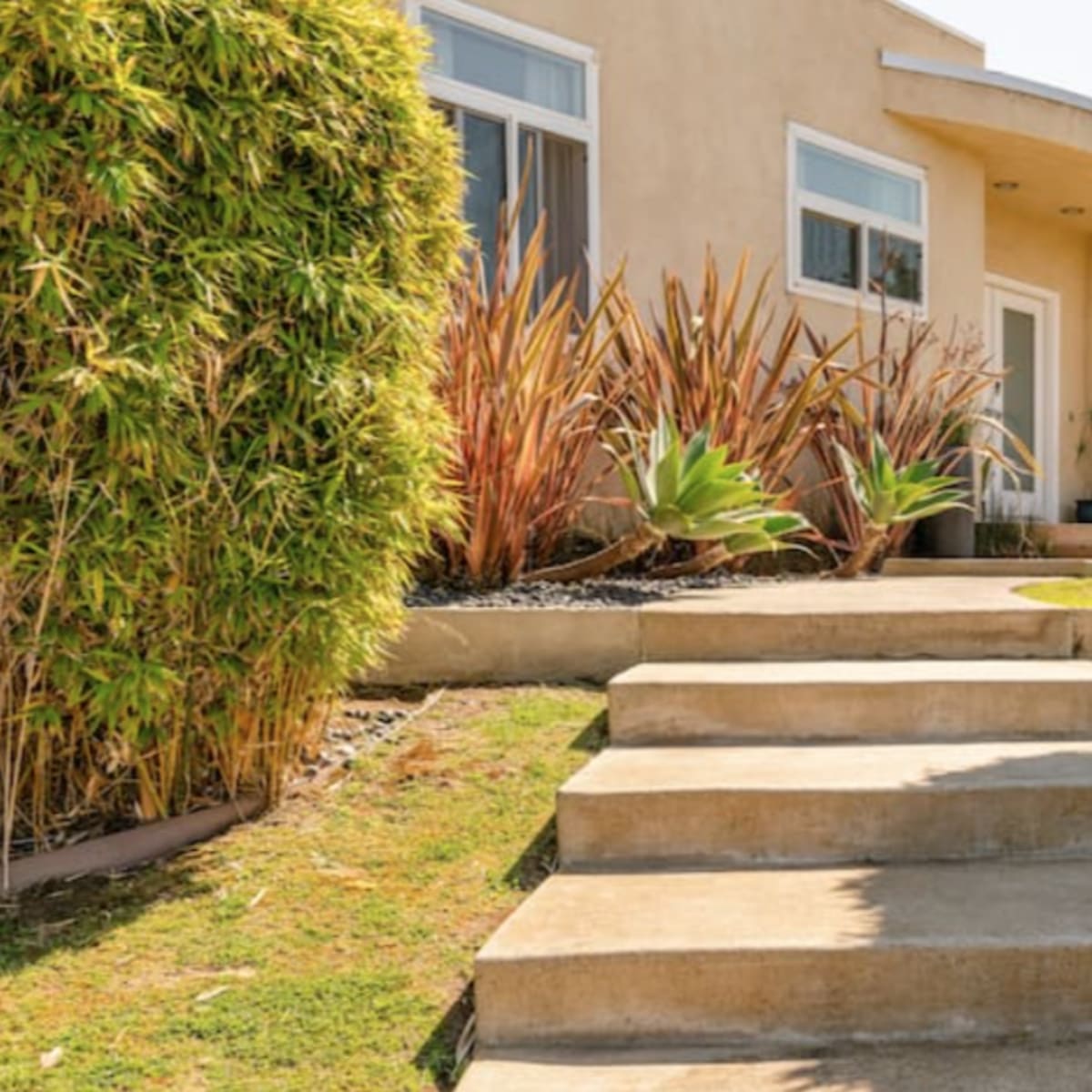 A set of stone steps leads to a modern house surrounded by trimmed hedges and decorative plants.