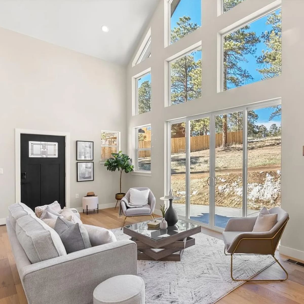 Boutique Mountain Luxury Home in Bailey Image in Bailey, Bailey, CO