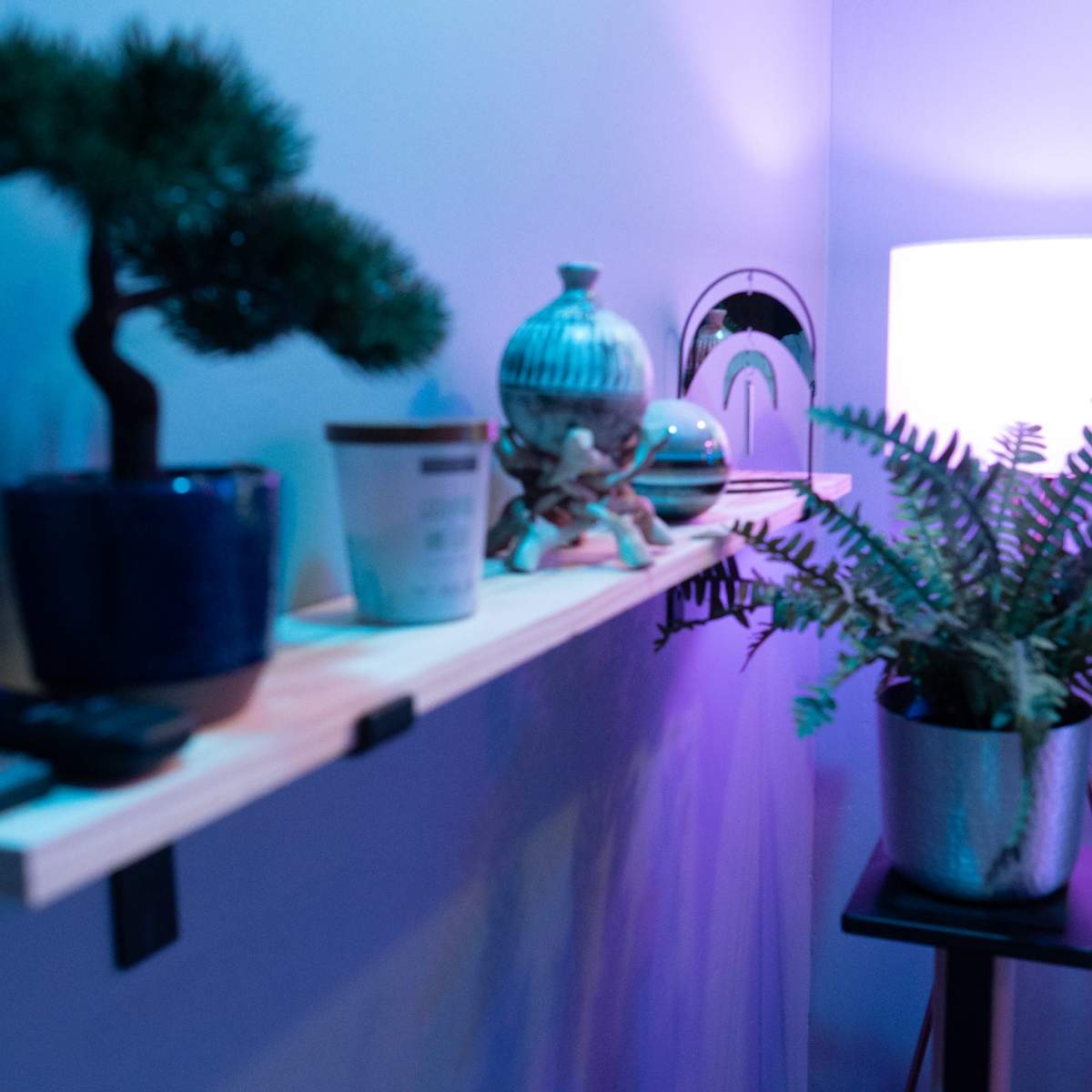 A shelf displaying a bonsai tree, decorative vase, and a fern, alongside a lamp, is set against a softly lit wall.