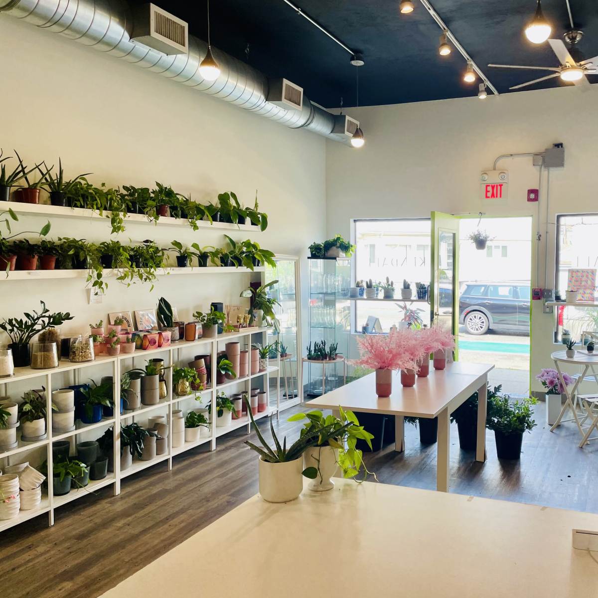 A brightly lit plant shop with shelves of potted plants and a table in the center, near an open door leading to the outside.