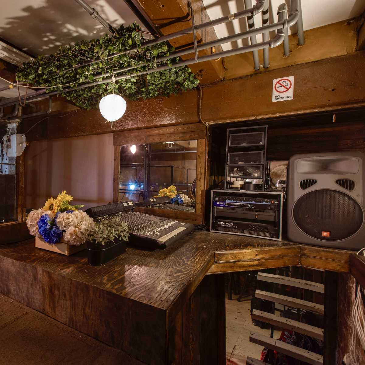 A dimly lit music studio with a wooden mixing desk, audio equipment, and decorative plants hanging from the ceiling.